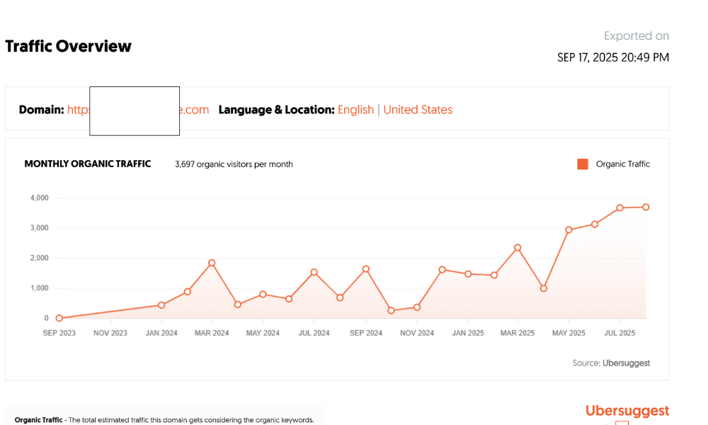 traffic overview to the site 
